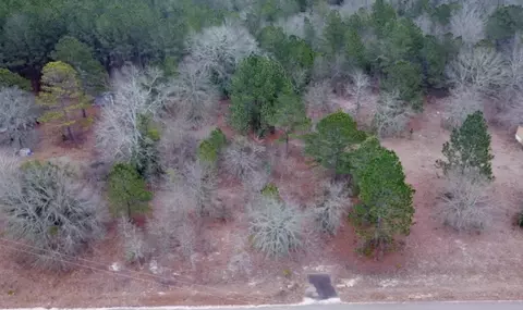 0 Scrub Oak Ct, Ridge Spring, SC 29129 photo 2