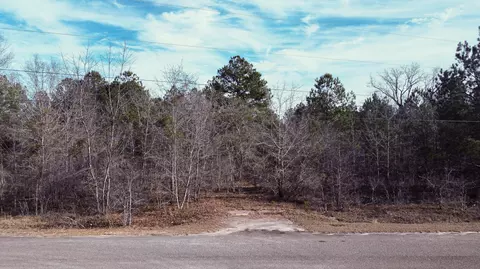 0 Scrub Oak Ct, Ridge Spring, SC 29129