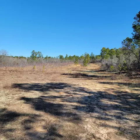 2730 Edgefield Hwy, Trenton, SC 29847