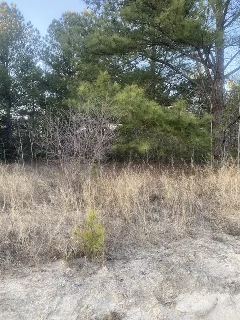 0 Old Shoals Rd #PHASE 2 4, Monetta, SC 29105 photo 3