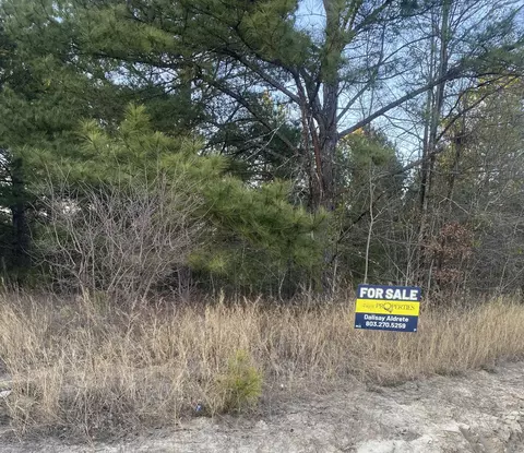 0 Old Shoals Rd #PHASE 2 4, Monetta, SC 29105 photo 2