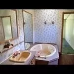 161 Greenview Dr, Ridge Spring, SC 29129 photo 22