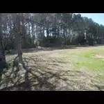 161 Greenview Dr, Ridge Spring, SC 29129 photo 4