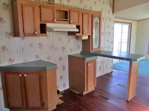 161 Greenview Dr, Ridge Spring, SC 29129 photo 9