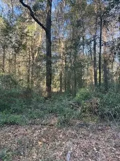 Tbd Brinkley St, Jackson, SC 29831