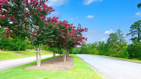 Exterior - 810 Lytham Dr, Aiken, SC 29801 photo 6 of 11