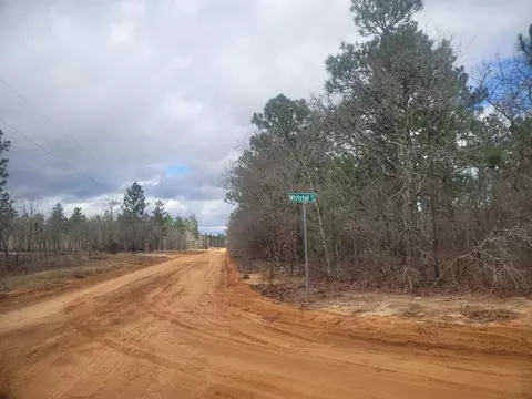 0 Deerfield Dr, Williston, SC 29853 photo 4