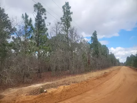 0 Deerfield Dr, Williston, SC 29853 photo 5