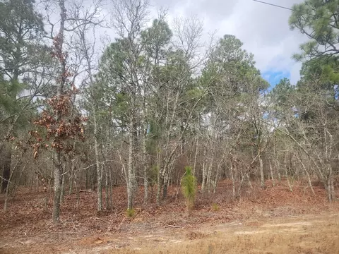 0 Deerfield Dr, Williston, SC 29853 photo 2