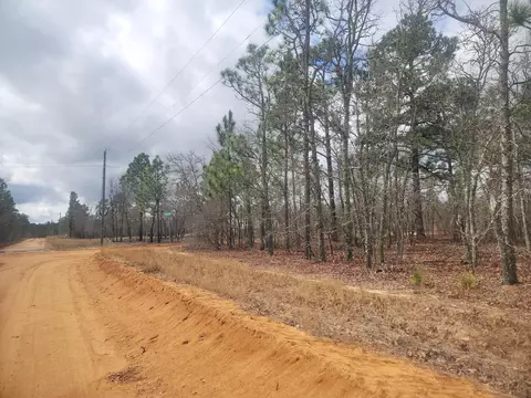 0 Deerfield Dr, Williston, SC 29853 photo 3
