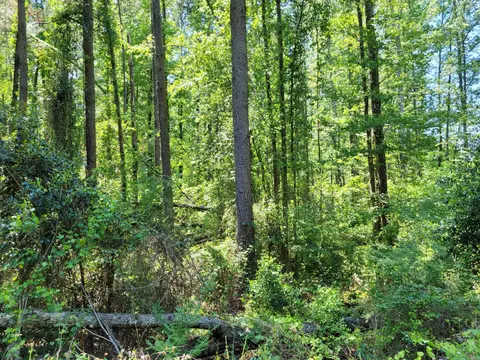 Tbd Cooper, Denmark, SC 29042