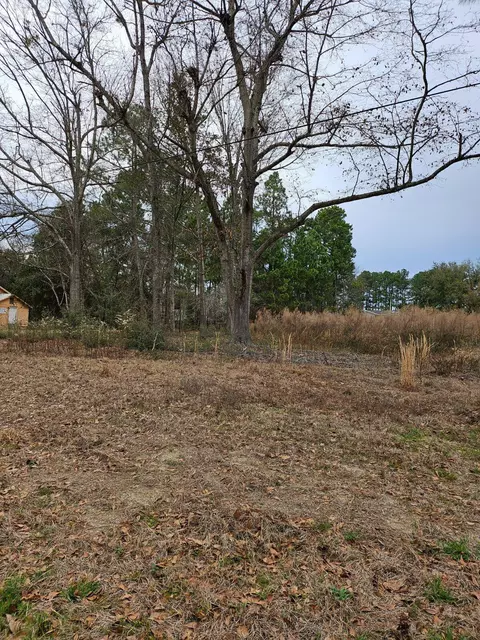 Lt-1 Blk-e Willie & Sarah Street, Williston, SC 29853