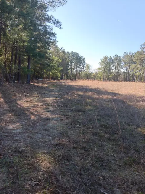 1689 Juniper Rd, Olar, SC 29843 photo 17