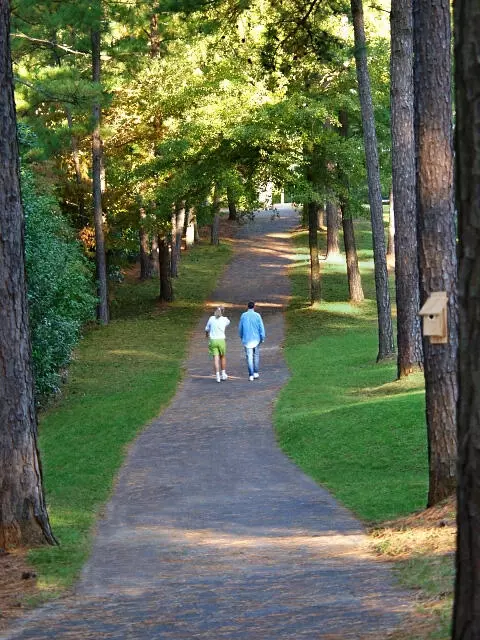 54 Juniper Loop, Aiken, SC 29803 photo 51