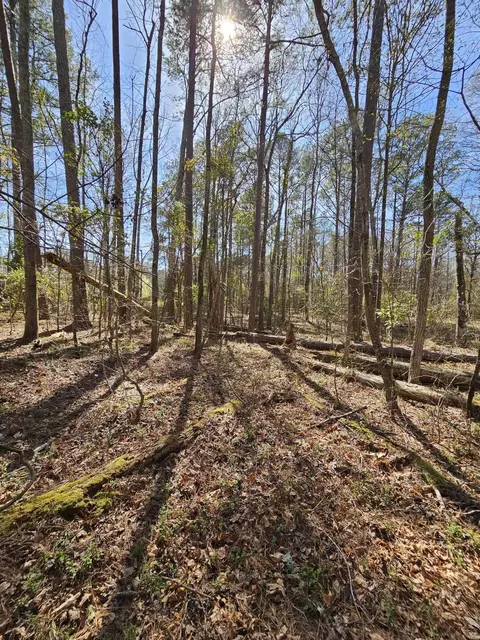 01 Lakeview Dr, Johnston, SC 29832 photo 3