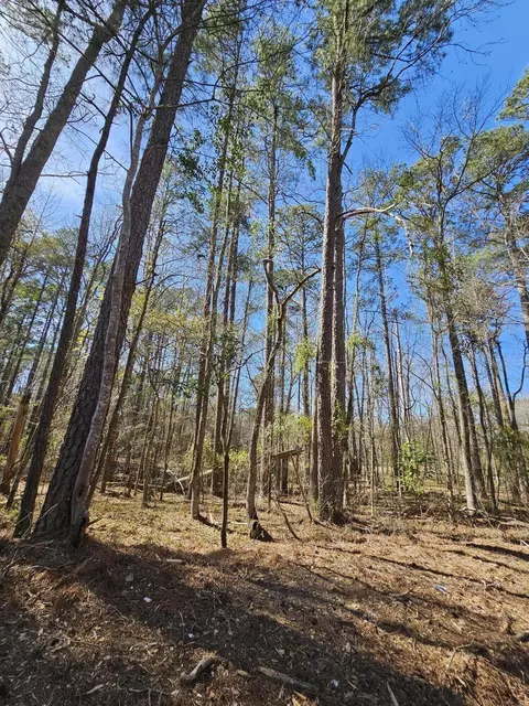01 Lakeview Dr, Johnston, SC 29832 photo 2