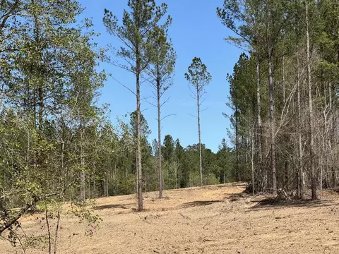 tbd Wrights Ml, Aiken, SC 29805