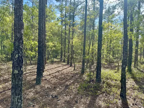 00 Mt Beulah Rd, Windsor, SC 29856 photo 5