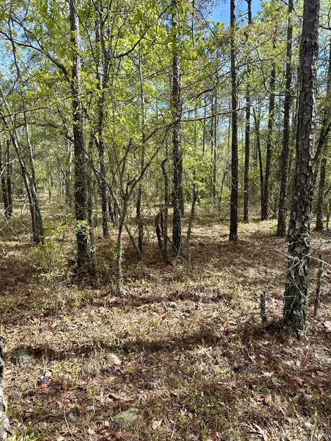 00 Mt Beulah Rd, Windsor, SC 29856 photo 8