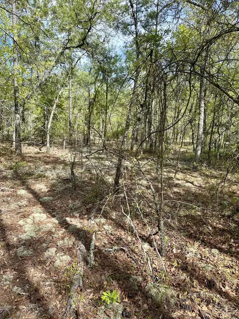 00 Mt Beulah Rd, Windsor, SC 29856 photo 7