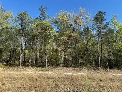 00 Mt Beulah Rd, Windsor, SC 29856 photo 2