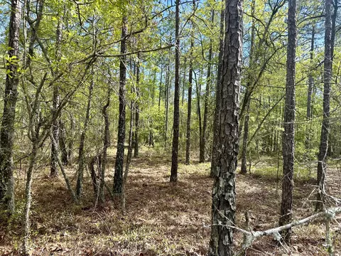 00 Mt Beulah Rd, Windsor, SC 29856 photo 6
