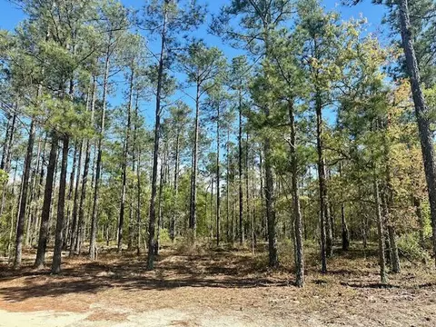 00 Mt Beulah Rd, Windsor, SC 29856