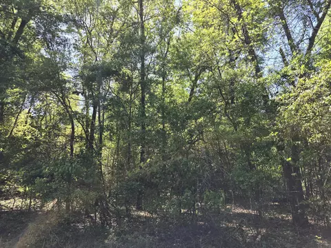 0000 Boiling Springs Rd, Barnwell, SC 29812