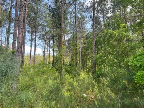0 White Pond Rd #11B, Williston, SC 29853 photo 7