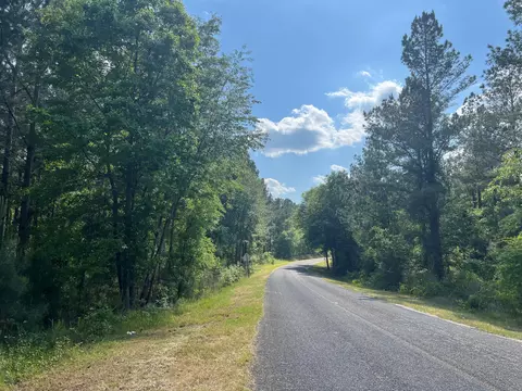 0 White Pond Rd #11B, Williston, SC 29853 photo 6