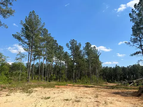 0 White Pond Rd #11C, Williston, SC 29853 photo 3
