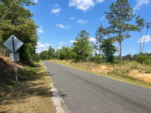 0 White Pond Rd #12A, Williston, SC 29853 photo 2