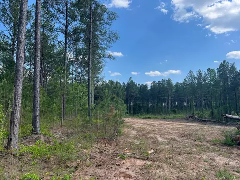 0 White Pond Rd #12A, Williston, SC 29853 photo 5