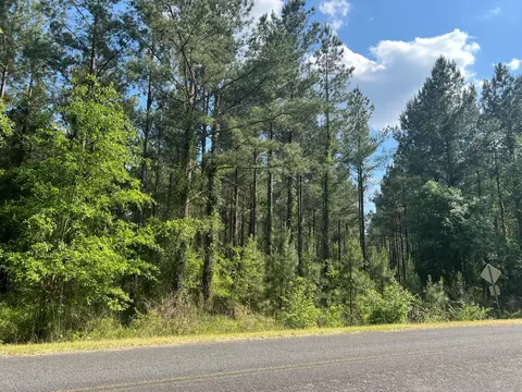 0 White Pond Rd #12A, Williston, SC 29853 photo 8