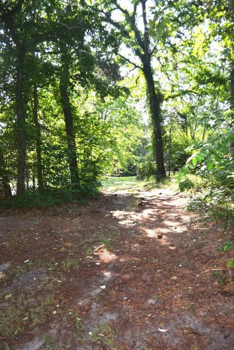 2146 Spring Hill Rd, Gilbert, SC 29054 photo 48