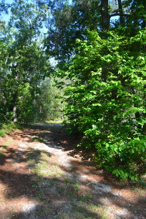 2146 Spring Hill Rd, Gilbert, SC 29054 photo 45