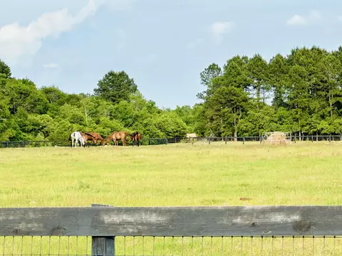 lot7 Blacks Dr, Williston, SC 29853 photo 7