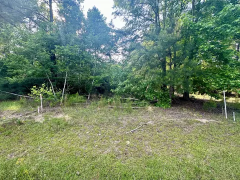 lot7 Blacks Dr, Williston, SC 29853 photo 4