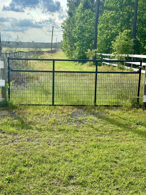lot7 Blacks Dr, Williston, SC 29853 photo 2