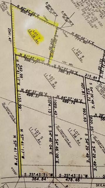 lot7 Blacks Dr, Williston, SC 29853 photo 8