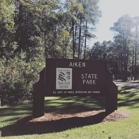 lot7 Blacks Dr, Williston, SC 29853 photo 12