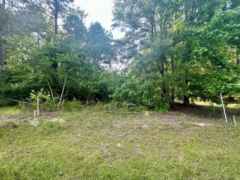 lot8 Blacks Dr, Williston, SC 29853