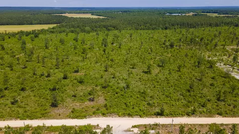 lot14 Old Shoals Rd, Monetta, SC 29105 photo 2
