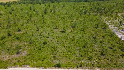 lot14 Old Shoals Rd, Monetta, SC 29105 photo 3