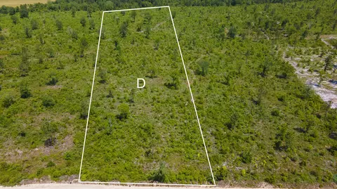 lot14 Old Shoals Rd, Monetta, SC 29105 photo 4