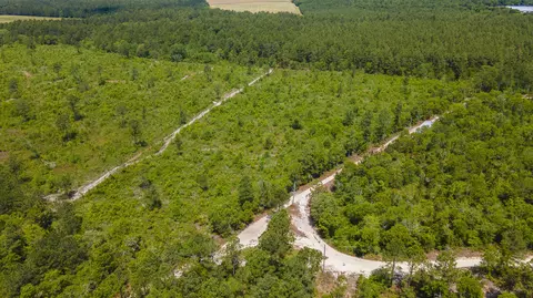 9 Acres Old Shoals Rd, Monetta, SC 29105 photo 2