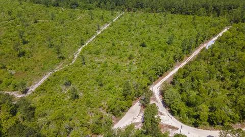 9 Acres Old Shoals Rd, Monetta, SC 29105 photo 3