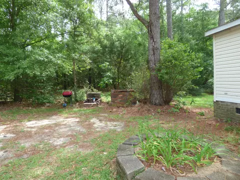 1011 Whispering Pine Rd, Ridge Spring, SC 29129 photo 20