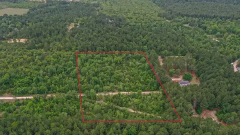 03 Old Shoals Rd, Monetta, SC 29105 photo 3