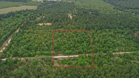 03 Old Shoals Rd, Monetta, SC 29105 photo 2